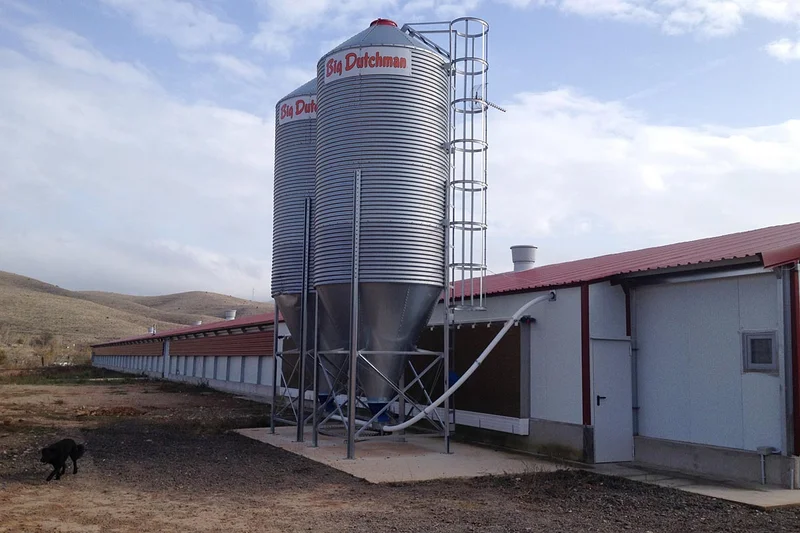 Nueva nave para el engorde de pollos con instalaciones avícolas y sistemas de alimentación modernos Nueva nave para el engorde de pollos con instalaciones avícolas y sistemas de alimentación modernos