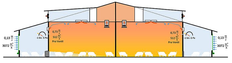 Ventilazione a pressione bilanciata in porcilaie con paddock esterni