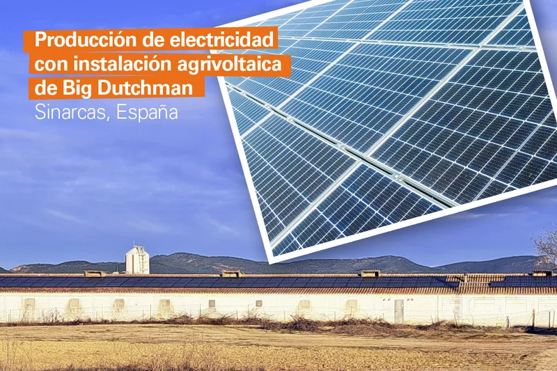 La implementación de una planta solar fotovoltaica con almacenamiento en una granja avícola en Sinarcas, Valencia, emerge como una práctica ideal. La implementación de una planta solar fotovoltaica con almacenamiento en una granja avícola en Sinarcas, Valencia, emerge como una práctica ideal.