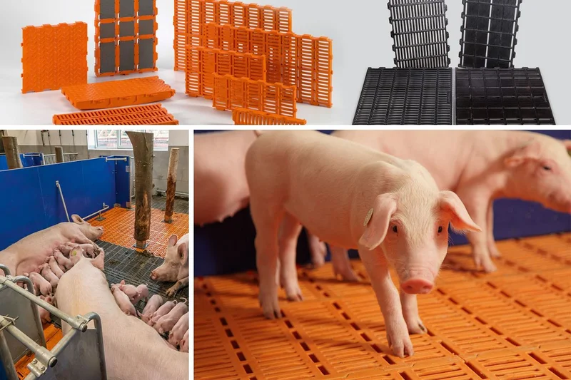 Pig house
