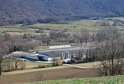 Mise aux normes des poulaillers : l’élevage des poules pondeuses Mise aux normes des poulaillers : l’élevage des poules pondeuses