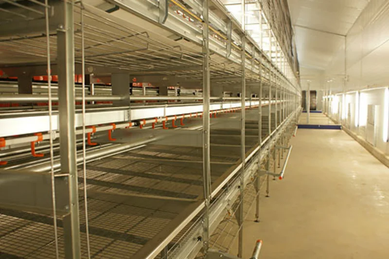 Natura-Nova: economic management of laying hens in aviary systems Natura-Nova: economic management of laying hens in aviary systems