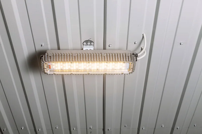 Stalverlichting: Professionele oplossingen voor de pluimveesector Stalverlichting: Professionele oplossingen voor de pluimveesector