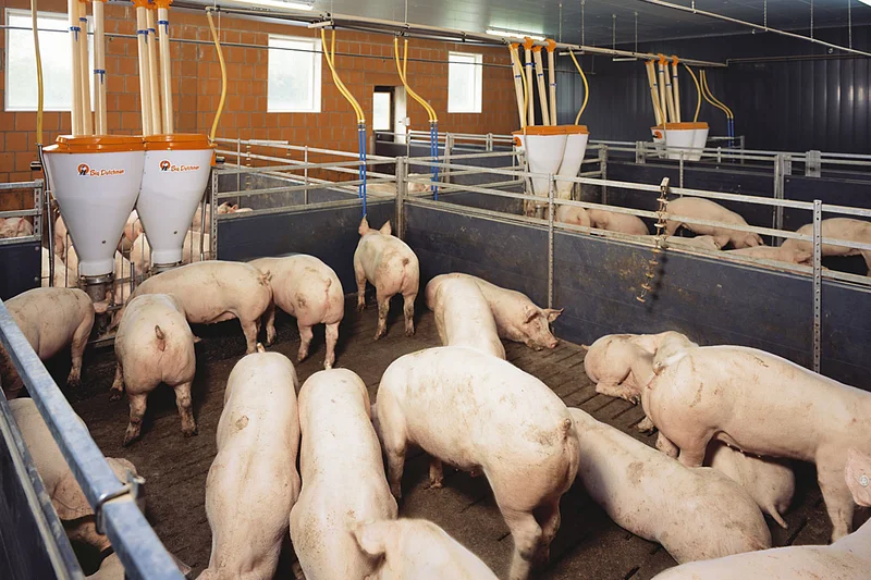 Openbare raadpleging over de toekomst van het Gemeenschappelijk Landbouwbeleid