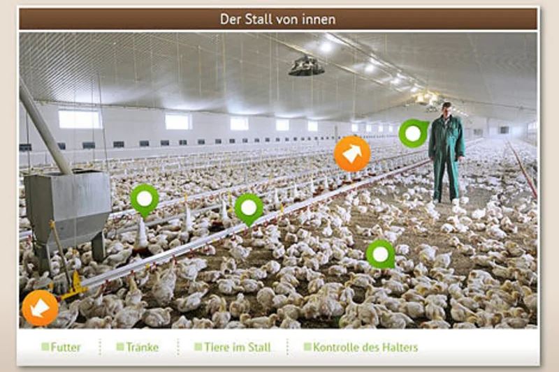 Geflügelwirtschaft öffnet Türen zum interaktiven Stallrundgang Geflügelwirtschaft öffnet Türen zum interaktiven Stallrundgang