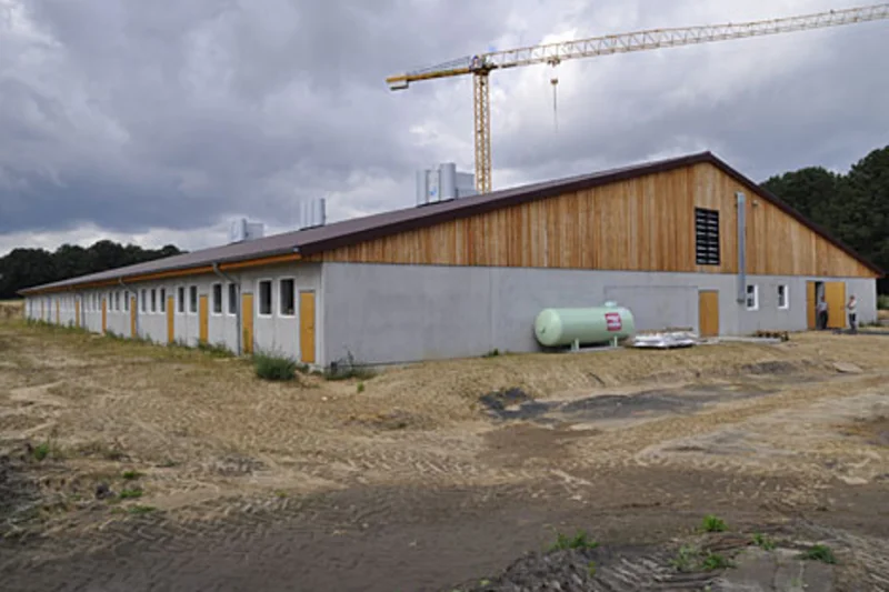 Stallneubau für Ferkelaufzucht und Schweinemast Stallneubau für Ferkelaufzucht und Schweinemast