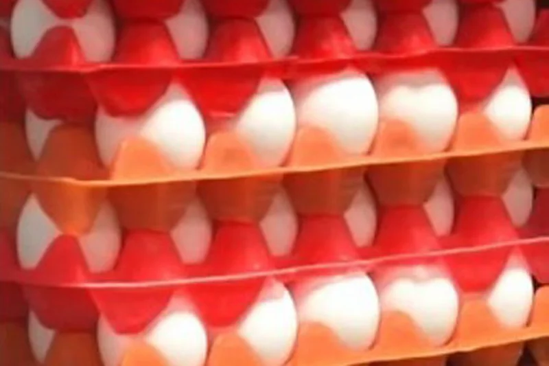 Global Foods eggs Global Foods eggs
