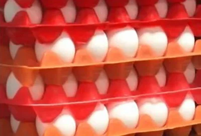 Global Foods eggs Global Foods eggs