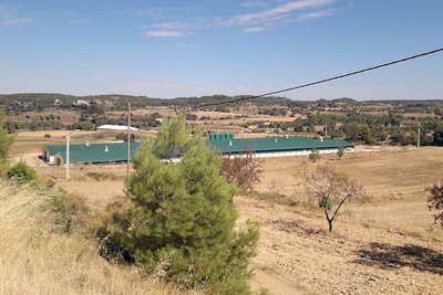 Vista de dos edificios a lo lejos | manejo de pavos 