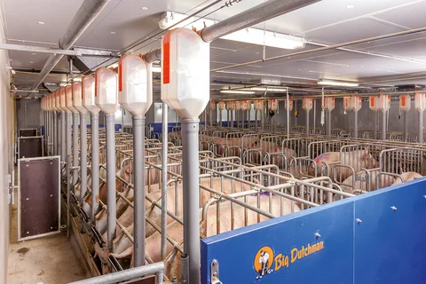 Insemination area