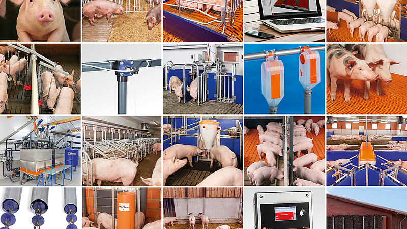 Technology for pig production