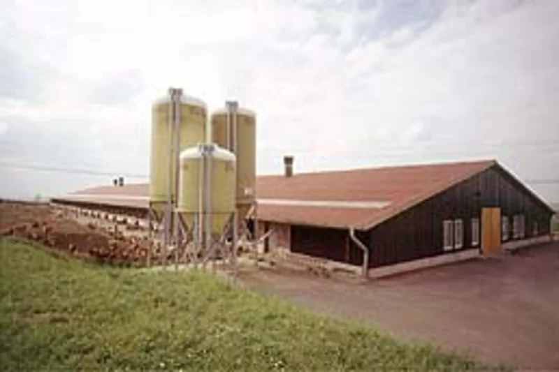 Neue BFL-Investitionsumfrage Tierhaltung