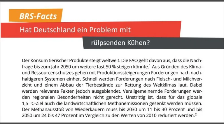 BRS-Faktenblatt BRS-Faktenblatt