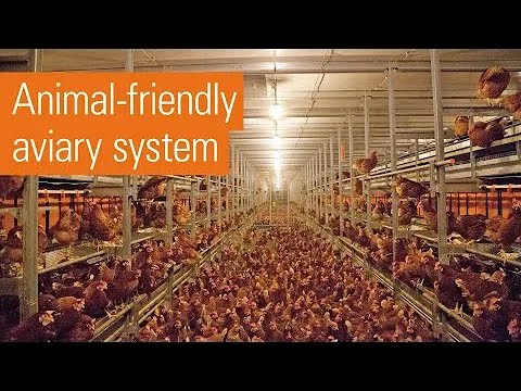 Animal welfare, functionality and efficiency | NATURA Step XL