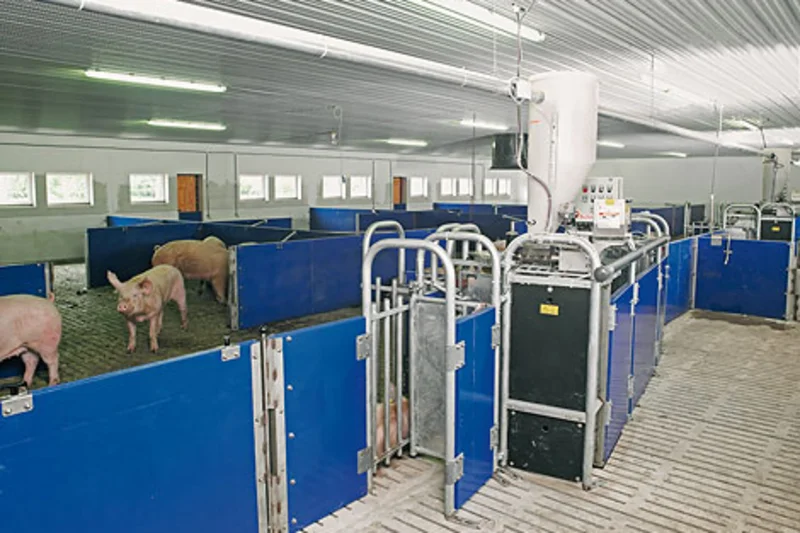 Technical training on electronic sow feeding & BigFarmNet