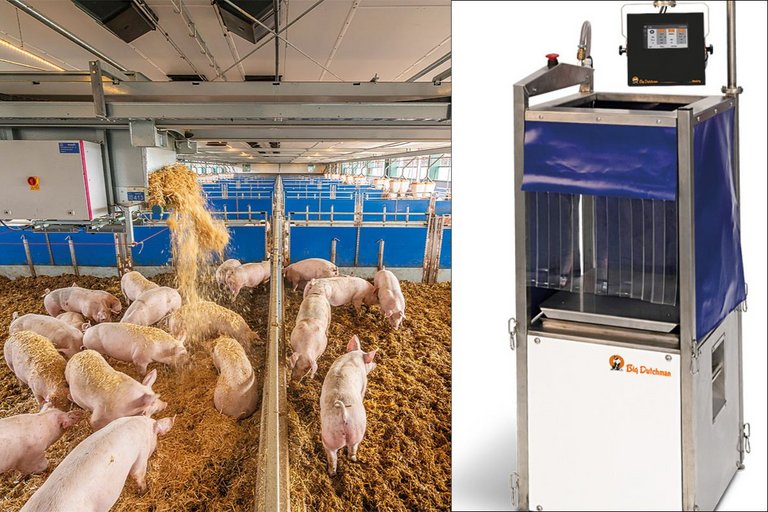 Big Dutchman-Innovationen Xaletto (li.) und Heidy. Die Sortierwaage kommt in der Elterntierhaltung zum Einsatz. 