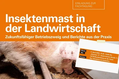 Bild Einladung Fachtagung Insektenmast Bild Einladung Fachtagung Insektenmast