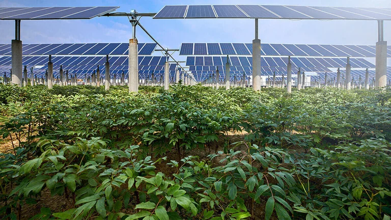 Solar panels and field Solar panels and field
