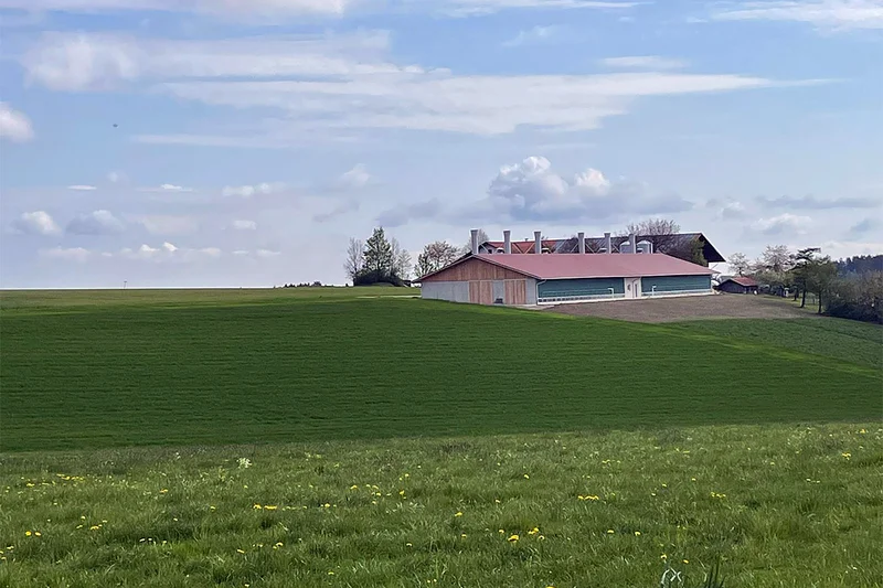 Hähnchenmaststall 