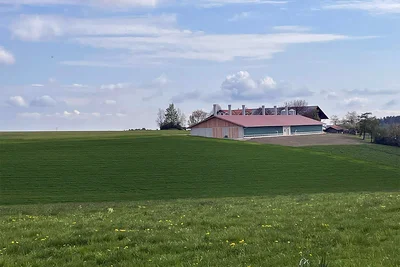Hähnchenmaststall Hähnchenmaststall