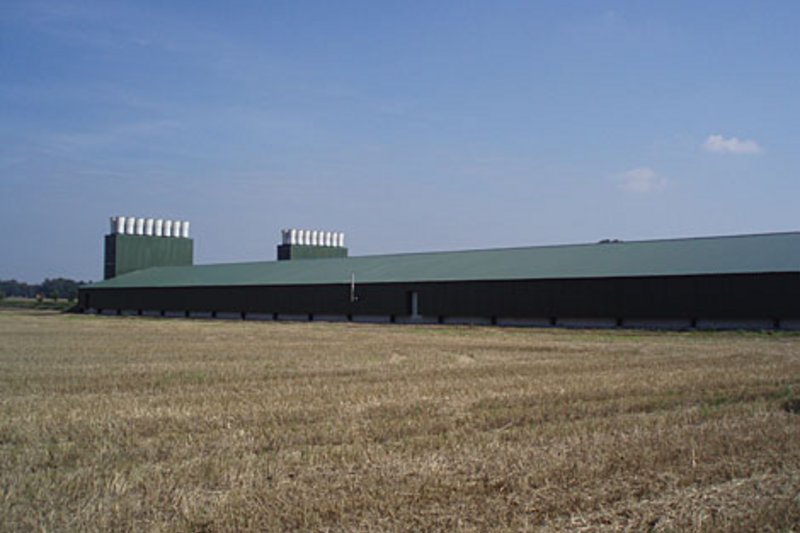 Two new poultry sheds for 84,000