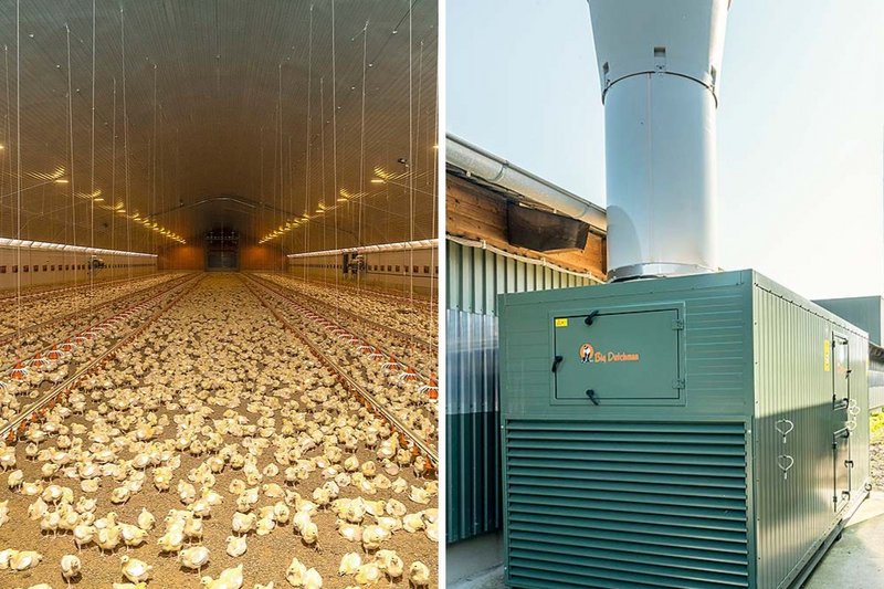 Vleeskuikenhouderij | links stal met vleeskuikens, rechts warmtewisselaar