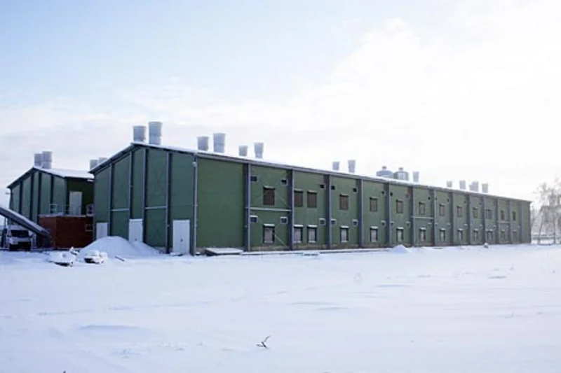Egg production on two levels with modern poultry systems