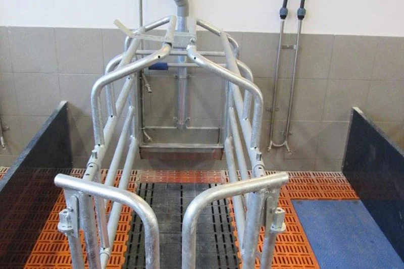 Abferkelstand für Sauenhaltung Abferkelstand für Sauenhaltung