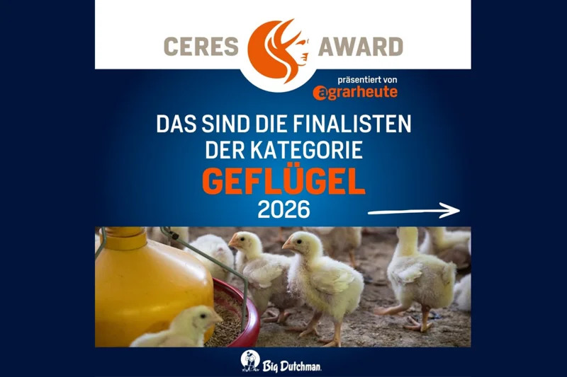 Endlich - die Shortlist ist da! 