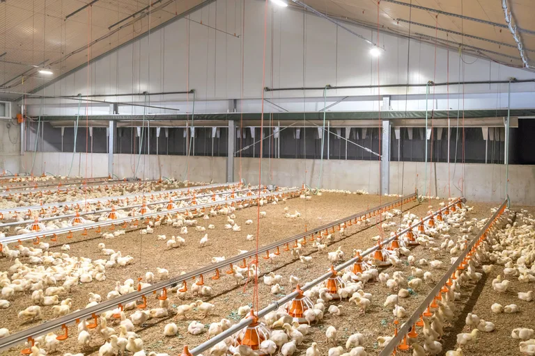 Pračka odpadního vzduchu Pollo-M pro drůbežárny