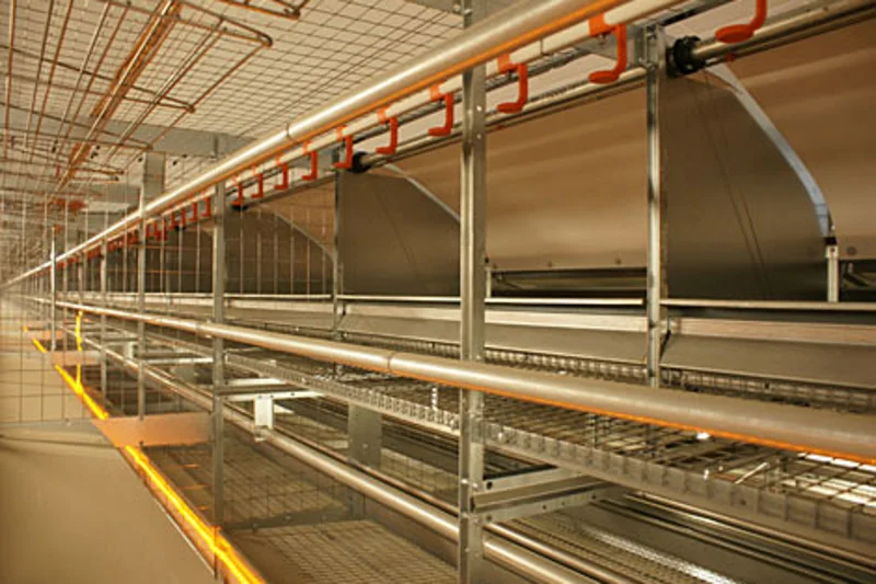 System podłogowy dla 80.000 kur niosek
