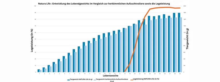 Entwicklung des Lebendgewichtes in der Natura Life im Vergleicht zur herkömmlichen Aufzuchtvoliere sowie die Legeleistung der Natura Life Diagramm