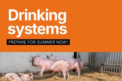Big Dutchman drinking systems for clean drinking water in pig houses  