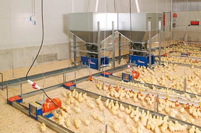 Big Dutchman equips five houses for 84,000 pullets Big Dutchman equips five houses for 84,000 pullets