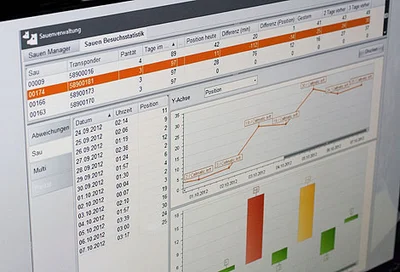 Innovative software tool for health control in the group management of sows Innovative software tool for health control in the group management of sows