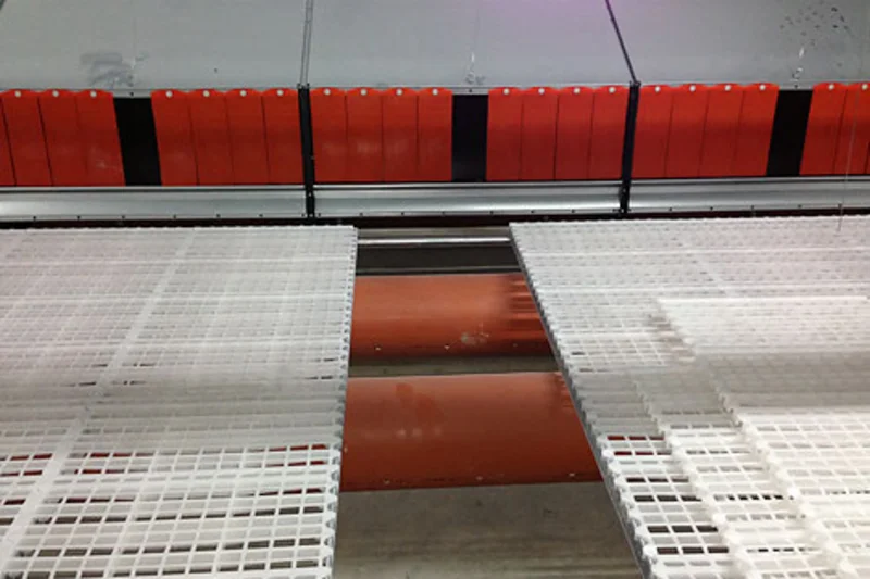 Breeder management with efficient manure pit ventilation Breeder management with efficient manure pit ventilation