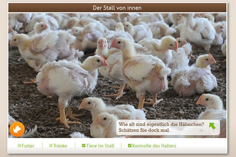 Geflügelwirtschaft öffnet Türen zum interaktiven Stallrundgang Geflügelwirtschaft öffnet Türen zum interaktiven Stallrundgang