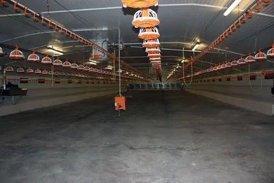 La nueva nave avícola La nueva nave avícola