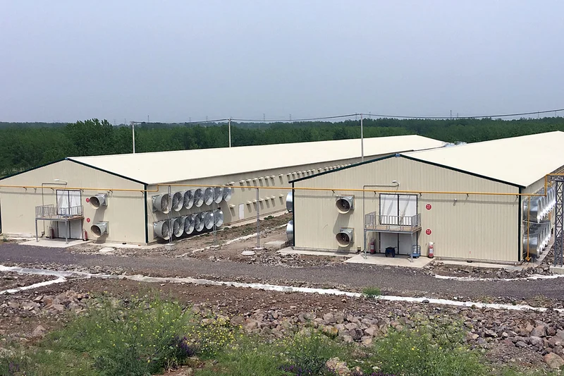 Big Dutchman купує у Betco підрозділ по будівництву тваринницьких об’єктів. 