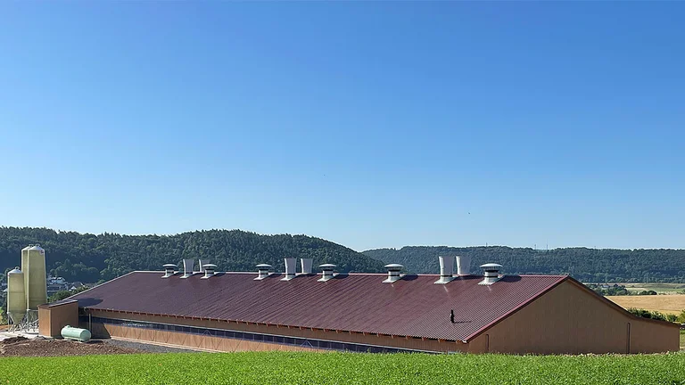 Production house 