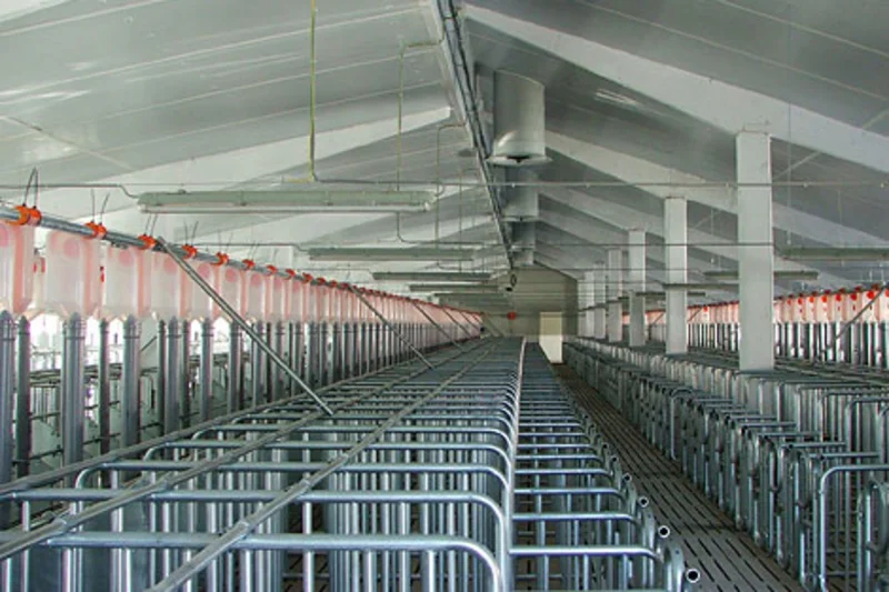 Sow management of 2,600 animals in a closed system Sow management of 2,600 animals in a closed system