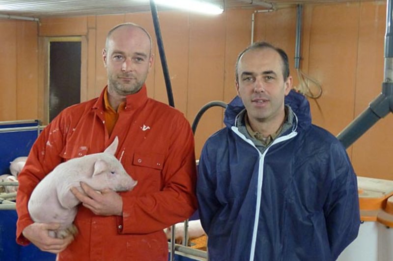 Xavier Berthou and Sébastian Cueff in the piglet rearing house