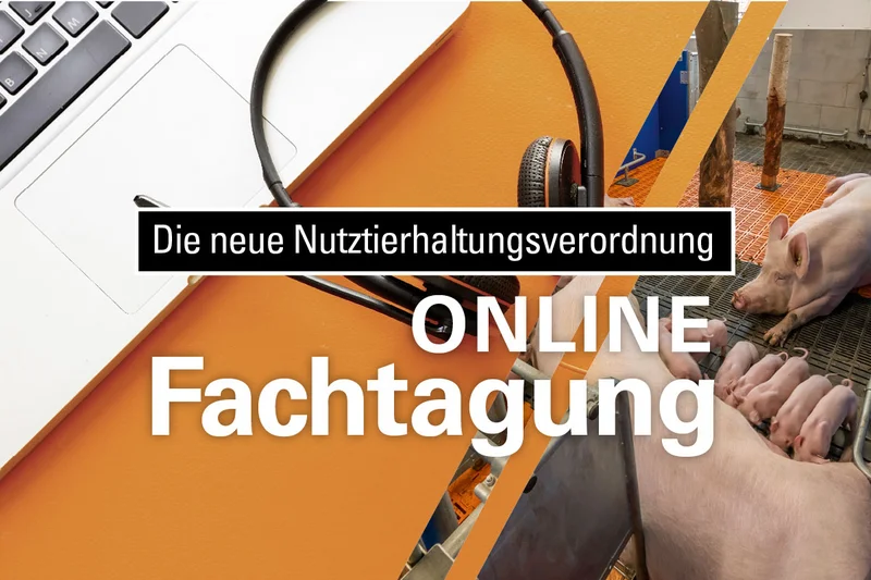 Einladung zur kostenlosen Online-Fachtagung