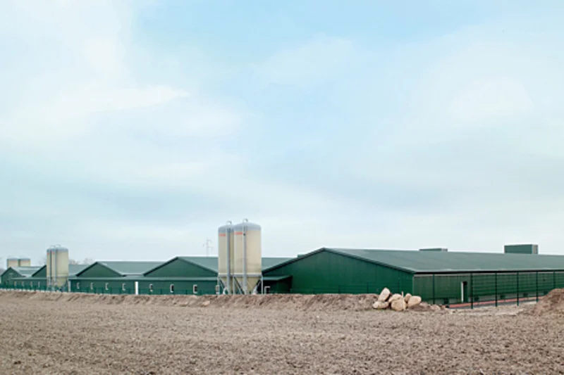 Big Dutchman equips five houses for 84,000 pullets Big Dutchman equips five houses for 84,000 pullets