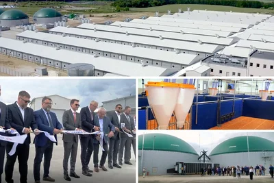 Lancement solennel à Bieganów Élevage de truies : un projet de bâtiment impressionnant inauguré en Pologne