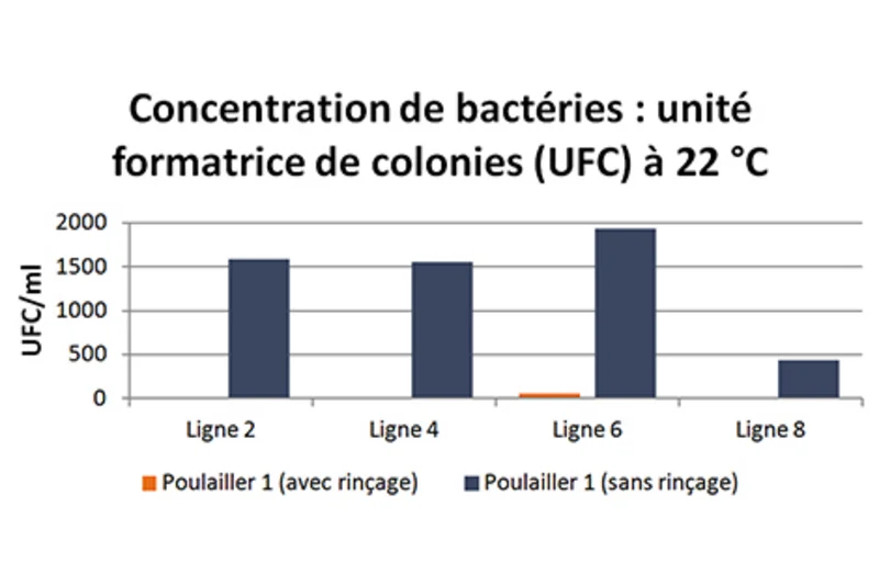 L'élevage de poulets de chair : résultats de recherche de l'examen bactériologique L'élevage de poulets de chair : résultats de recherche de l'examen bactériologique