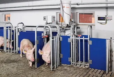 Elevada robustez: nuevo distribuidor de pienso líquido Elevada robustez: nuevo distribuidor de pienso líquido