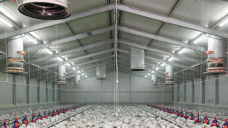 Fresh air chimney Fumus for an effective poultry climate control 