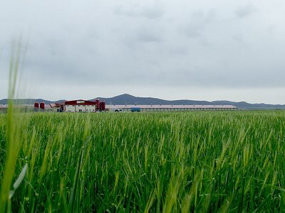 Instalaciones para la producción alternativa campera