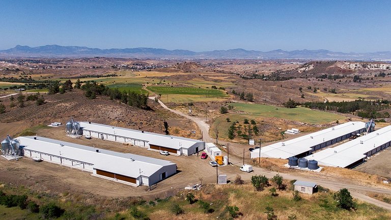 An impressive poultry house project – from every perspective! 